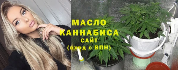 ECSTASY Вяземский